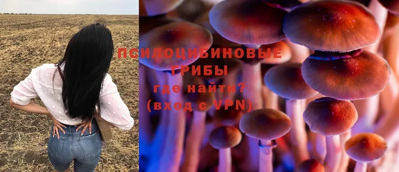 Галлюциногенные грибы Magic Shrooms  наркошоп  ОМГ ОМГ сайт  Видное 